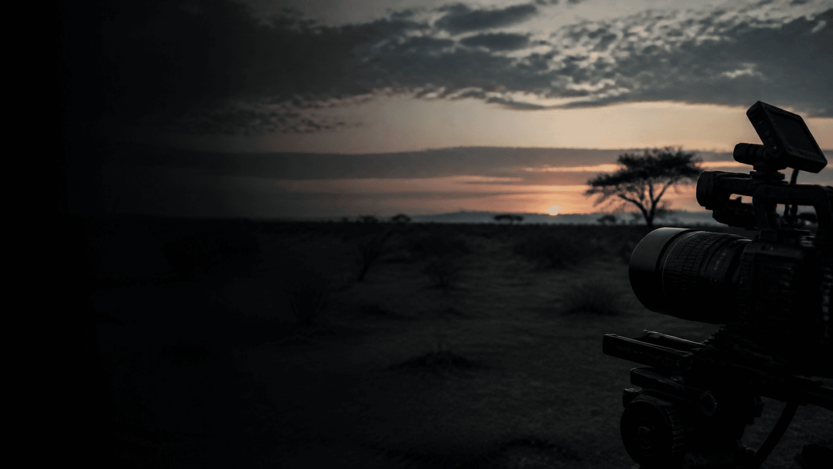 Cinema camera overlooking a Botswana landscape at dusk